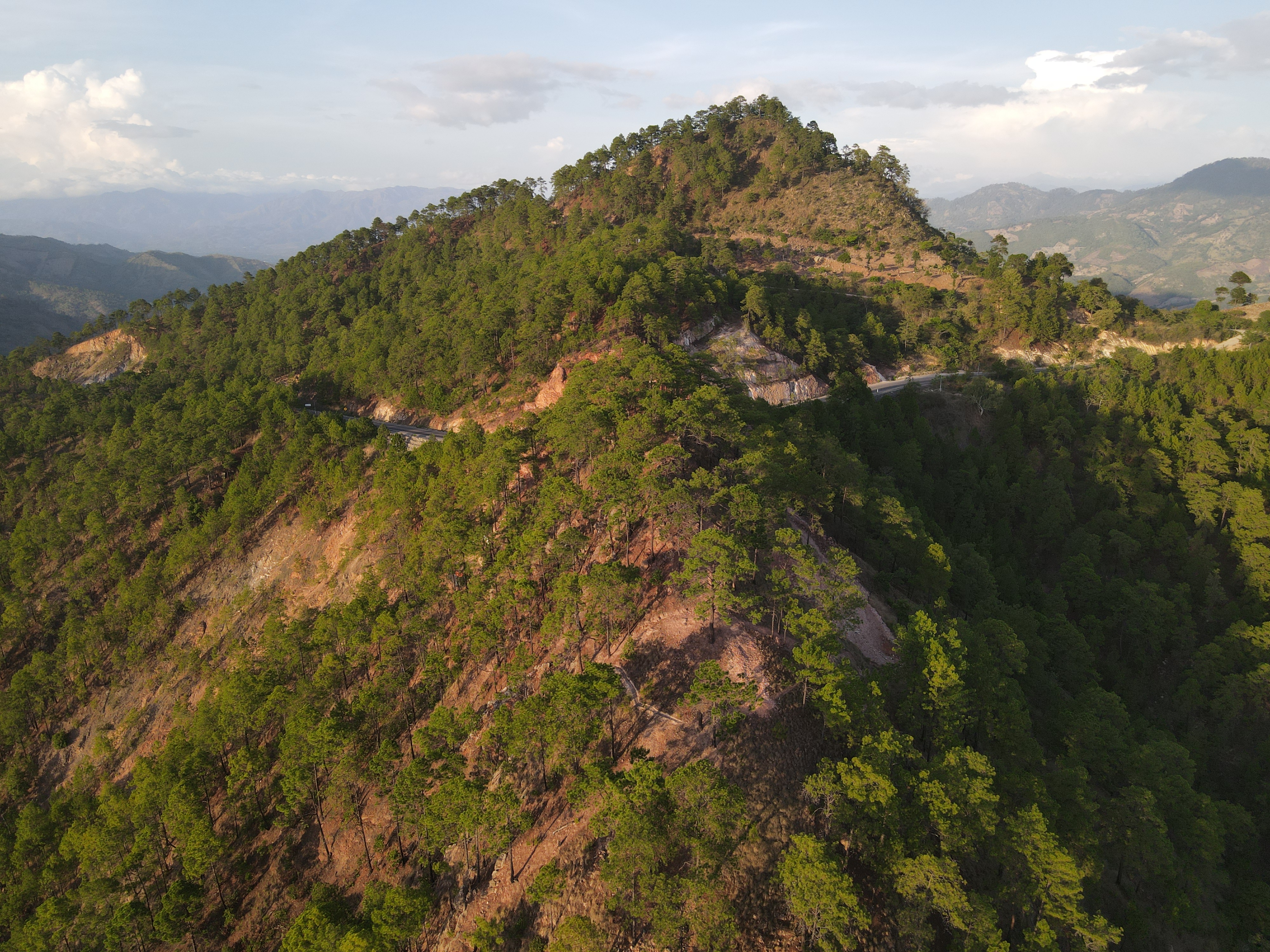 Holly Project, Guatemala